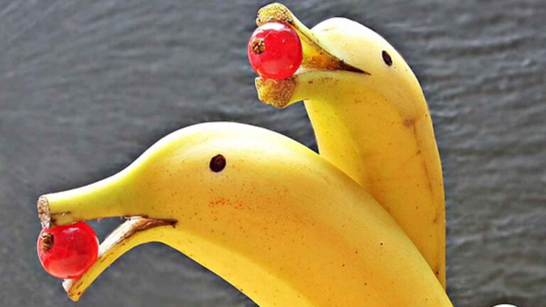 Die Bananenschale und der Sinn des Lebens