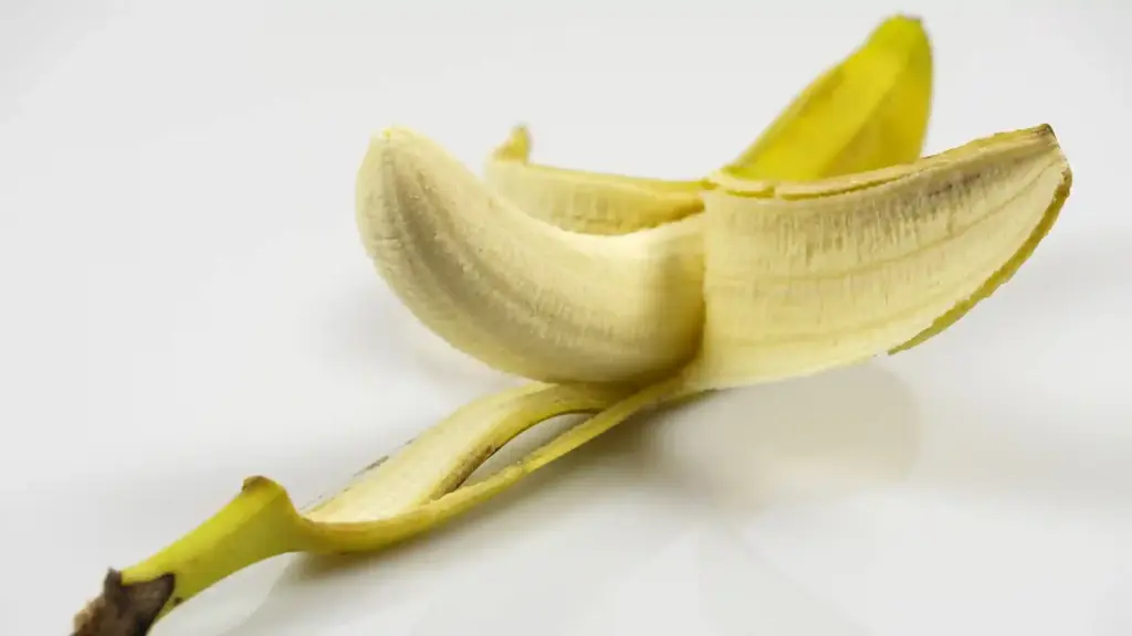 Die Bananenschale und der Sinn des Lebens, Blogartikel, Luca Rohleder, Beitragsbild03