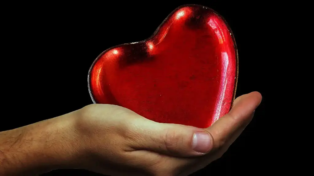 Broken-Heart-Syndrom: Wenn Kummer unsere Gesundheit bedroht, Fachartikel, Beitragsbild03